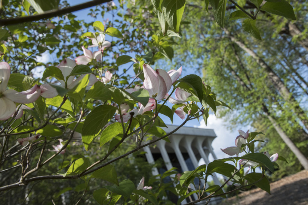 Mercer Atlanta Campus