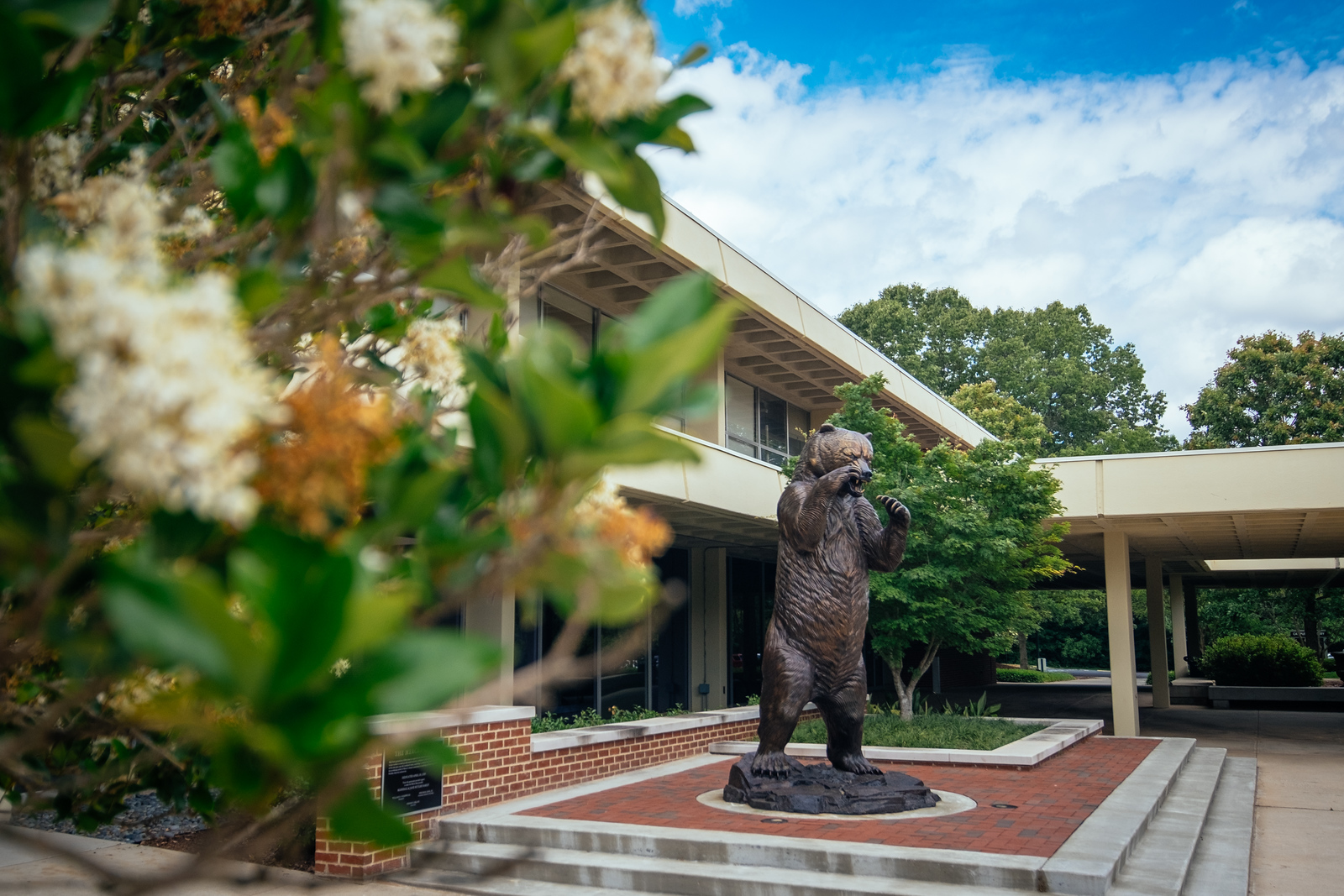 Atlanta Campus Bear Statue